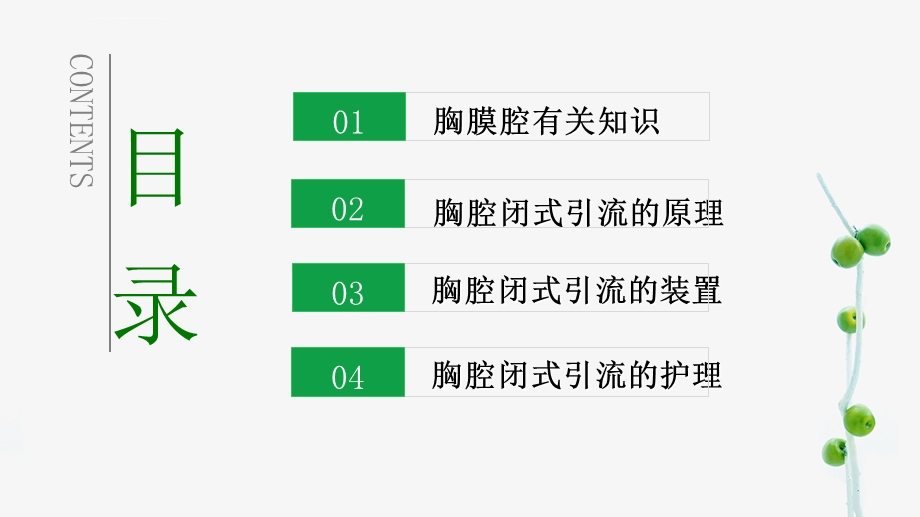 胸腔闭式引流及护理（讲课）优质ppt课件.ppt_第2页