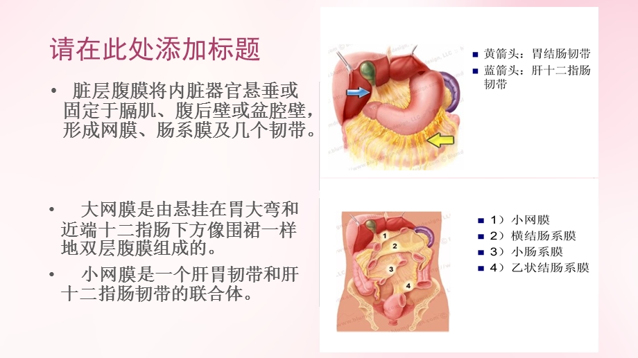 腹膜病变影像诊断及鉴别诊断ppt课件.pptx_第3页