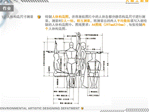 艺术设计人体工程学作业ppt课件.ppt