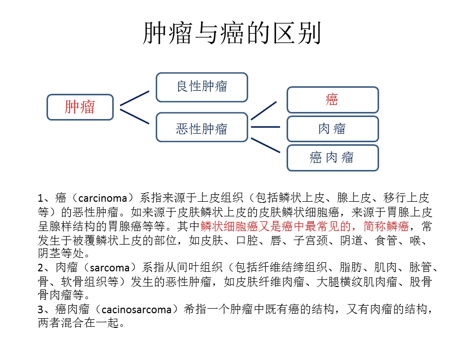 肺癌临床基础知识与治疗方案ppt课件.pptx_第3页