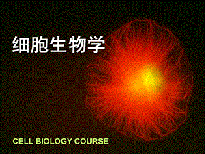 翟中和细胞生物学ppt课件.ppt