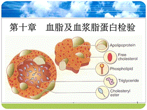 血脂及血浆脂蛋白检验ppt课件.ppt