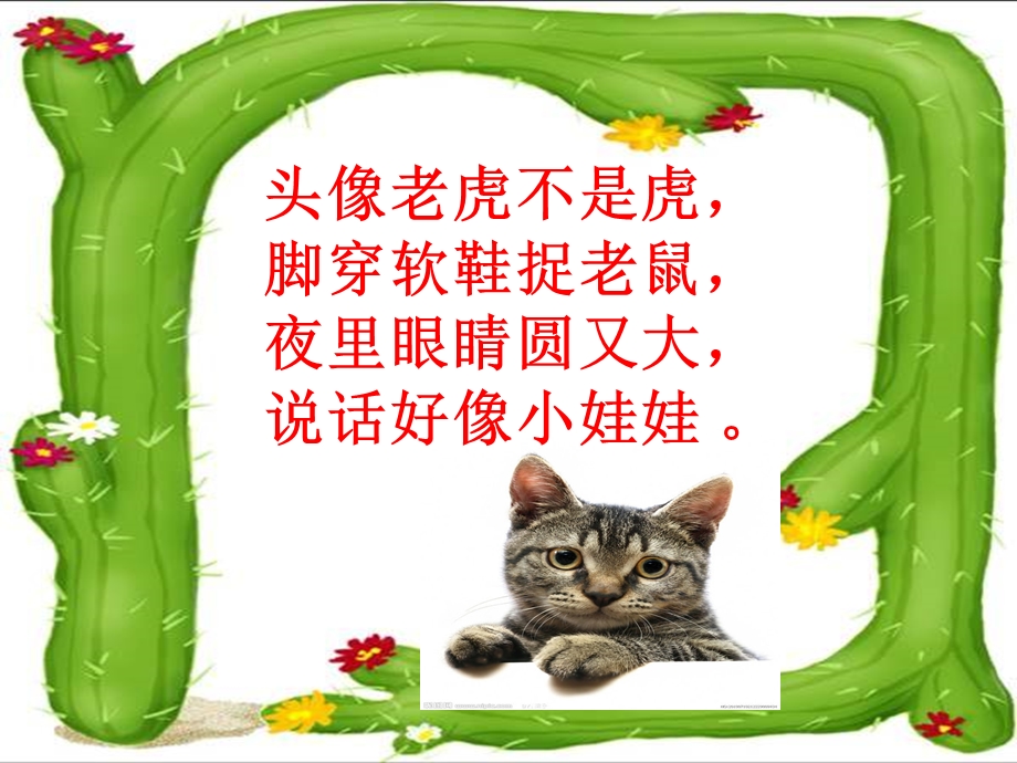 郑振铎《猫》优质课ppt课件.ppt_第1页