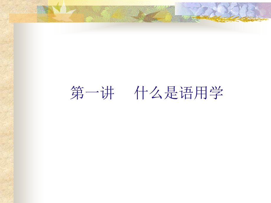 语用学汇总ppt课件.ppt_第3页