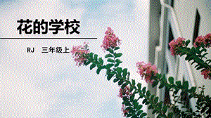 花的学校ppt课件完美版.pptx