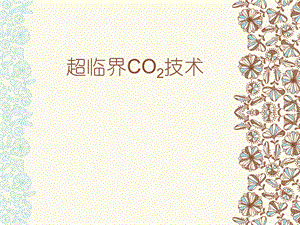 超临界CO2染色ppt课件.ppt