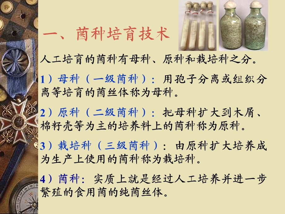 菌种的生产与保藏ppt课件.ppt_第2页