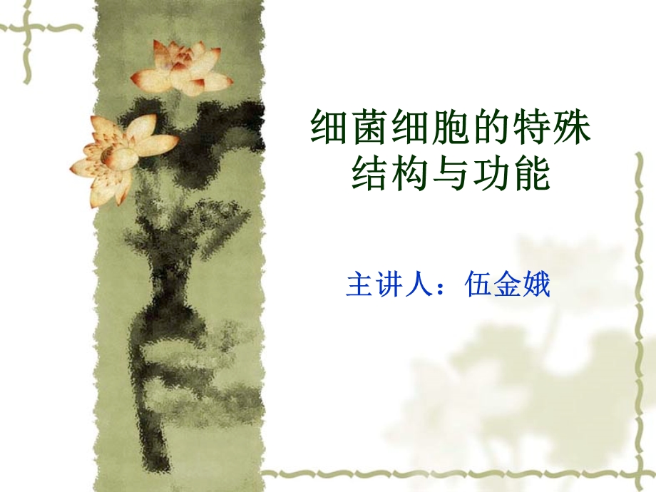 细菌的特殊结构ppt课件.ppt_第1页