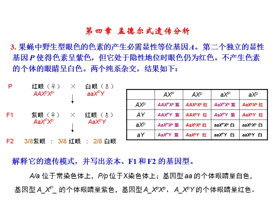 遗传学第二版课后答案（18章）ppt课件.ppt_第3页