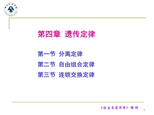 遗传定律(课堂ppt)课件.ppt