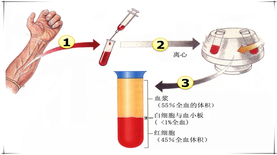 输血不良反应及处理PPT课件.pptx_第2页