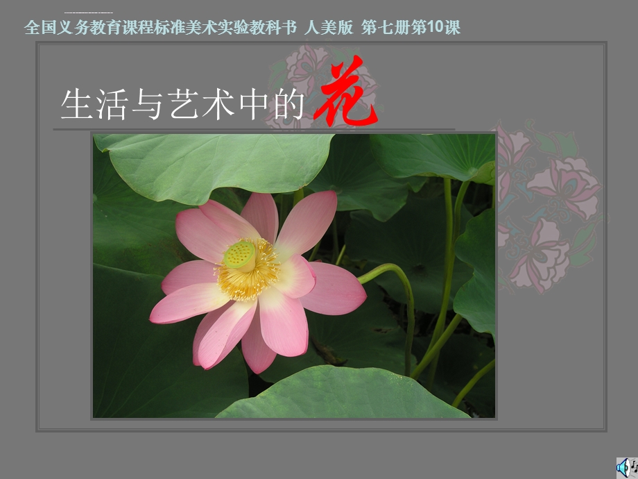 课生活与艺术中的花ppt课件.ppt_第1页