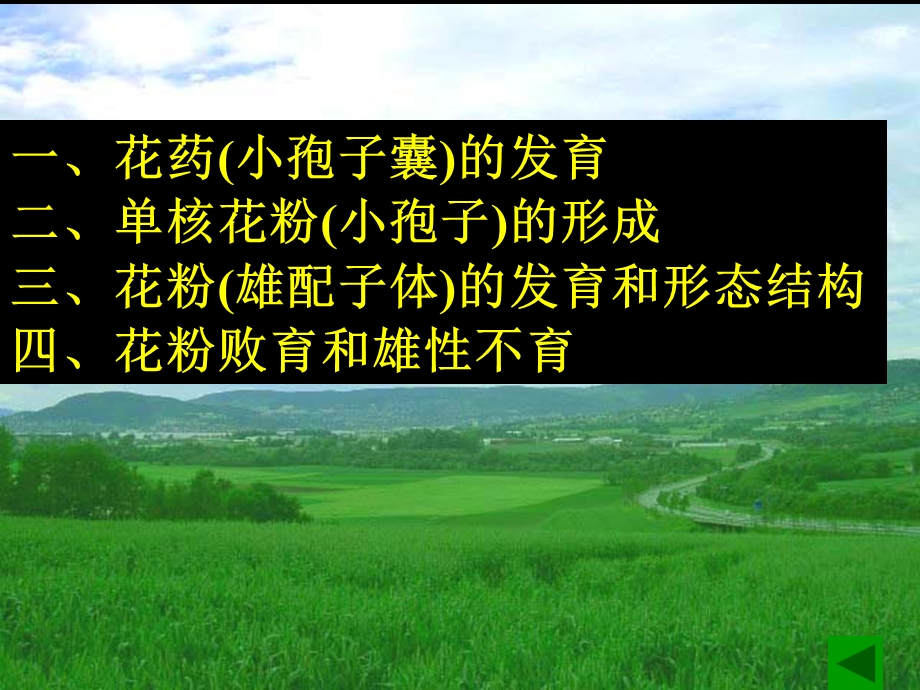 花药发育和花粉粒形成ppt课件.ppt_第2页