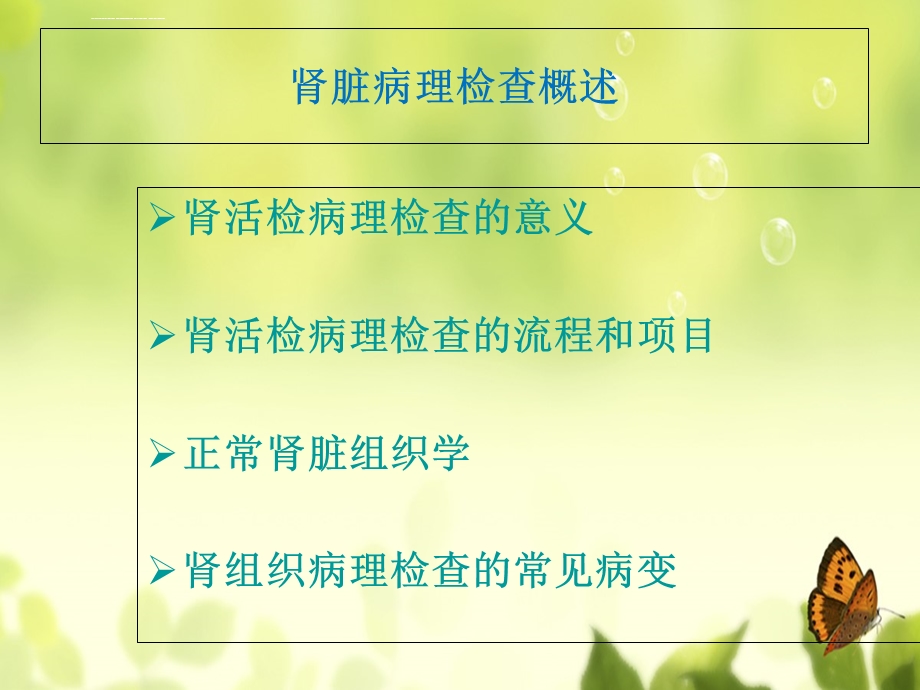 肾脏病理检查概述ppt课件.ppt_第2页