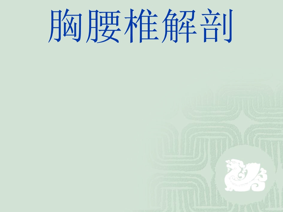 胸腰椎解剖ppt课件.ppt_第1页