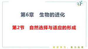 自然选择与适应的形成ppt课件.ppt