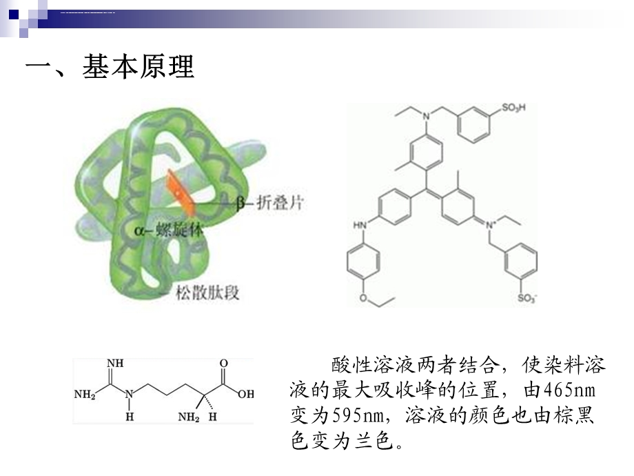 考马斯亮蓝法——完整版ppt课件.ppt_第2页