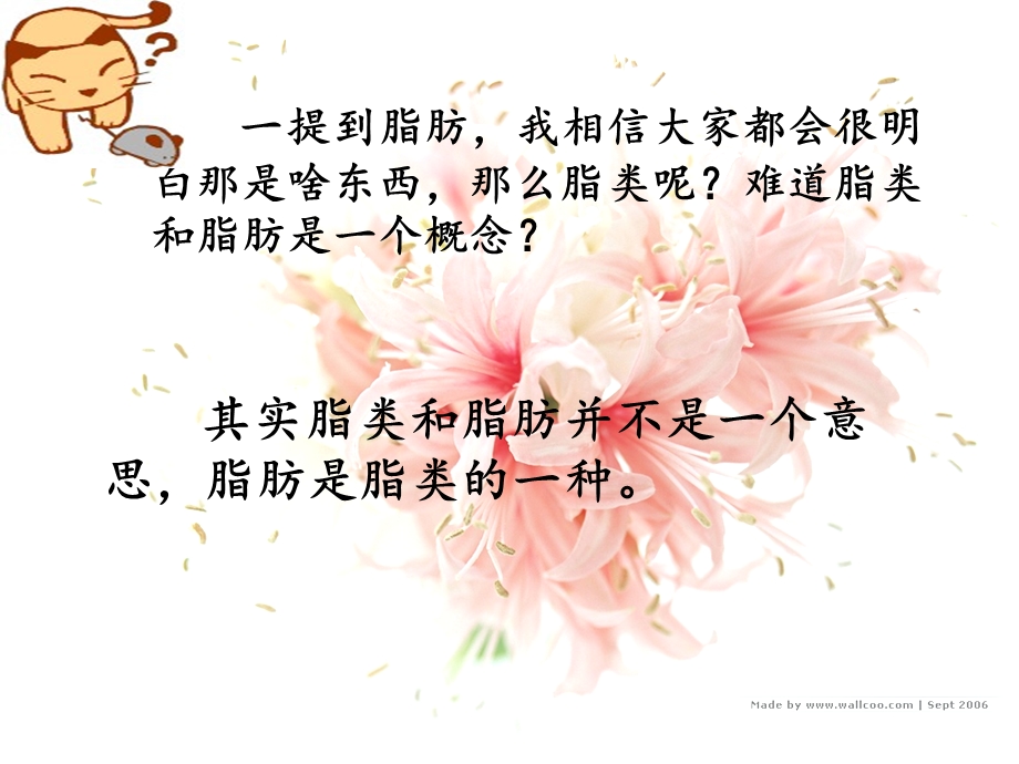 脂类的组成和分类ppt课件.ppt_第2页