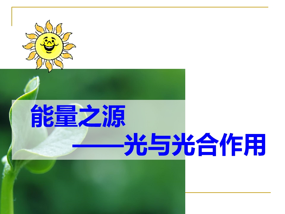 能量之源光与光合作用（优质课）ppt课件.ppt_第1页