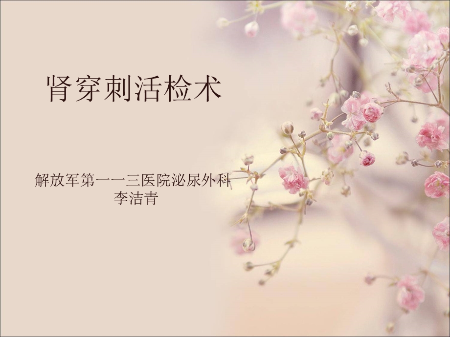 肾穿刺活检术ppt课件.ppt_第1页