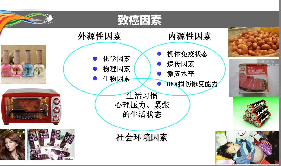 肿瘤及化疗基础知识ppt课件.ppt_第3页