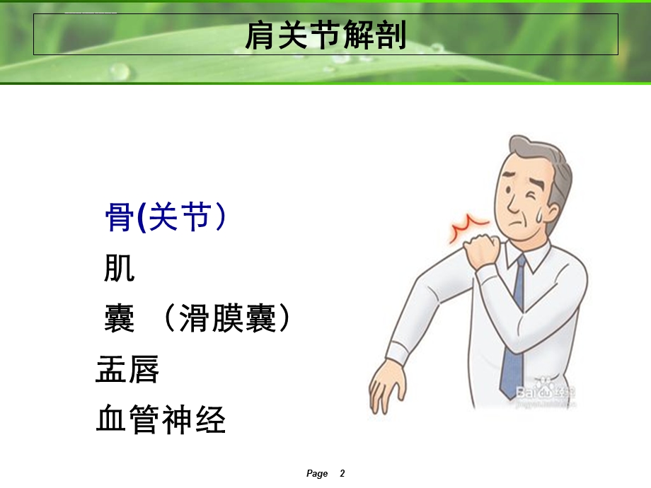 肩关节解剖)ppt课件.ppt_第2页