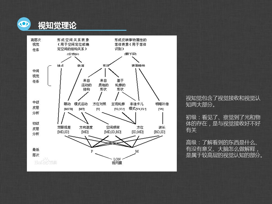 视知觉原理ppt课件.ppt_第3页