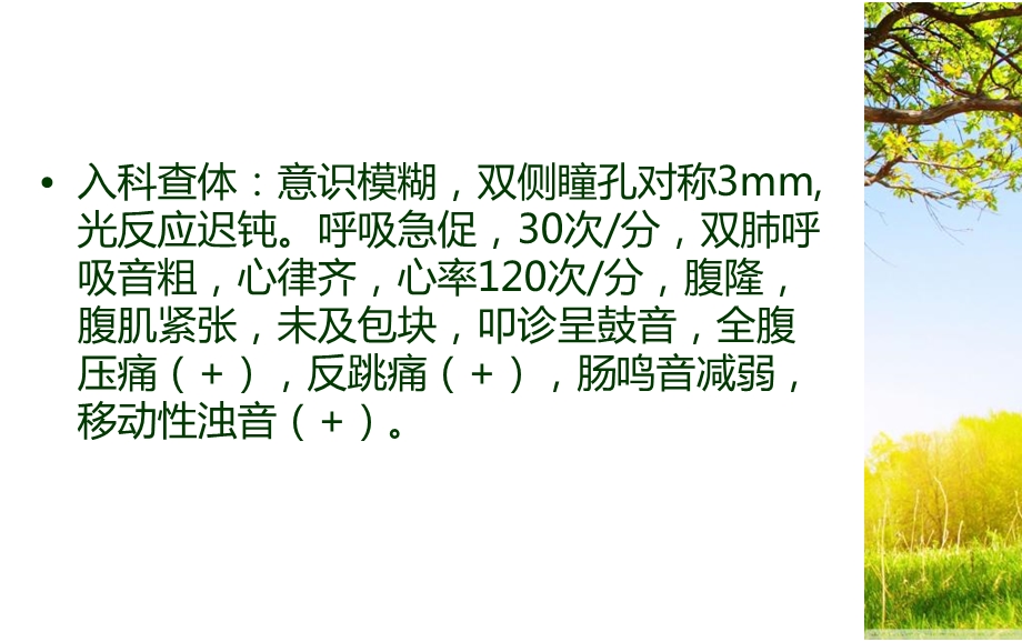 重症急性重症胰腺炎护理查房ppt课件.ppt_第3页