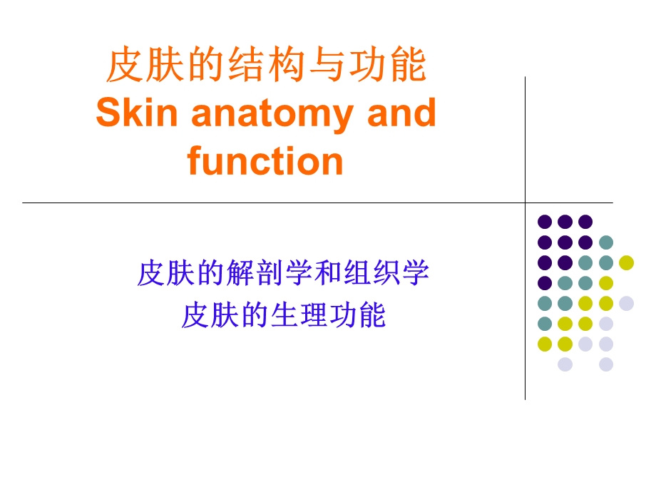 角质形成细胞浙江大学ppt课件.ppt_第3页