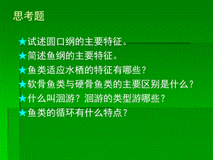 脊索动物门圆口纲、鱼纲ppt课件.ppt