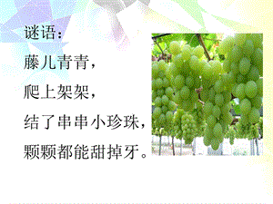 葡萄沟第一课时教学PPT课件.ppt