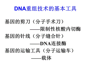 第三章基因工程载体ppt课件.ppt