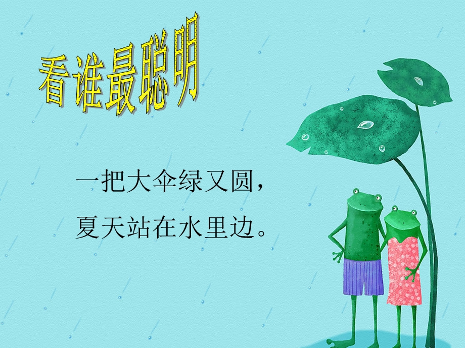 荷叶圆圆公开课ppt课件.ppt_第1页