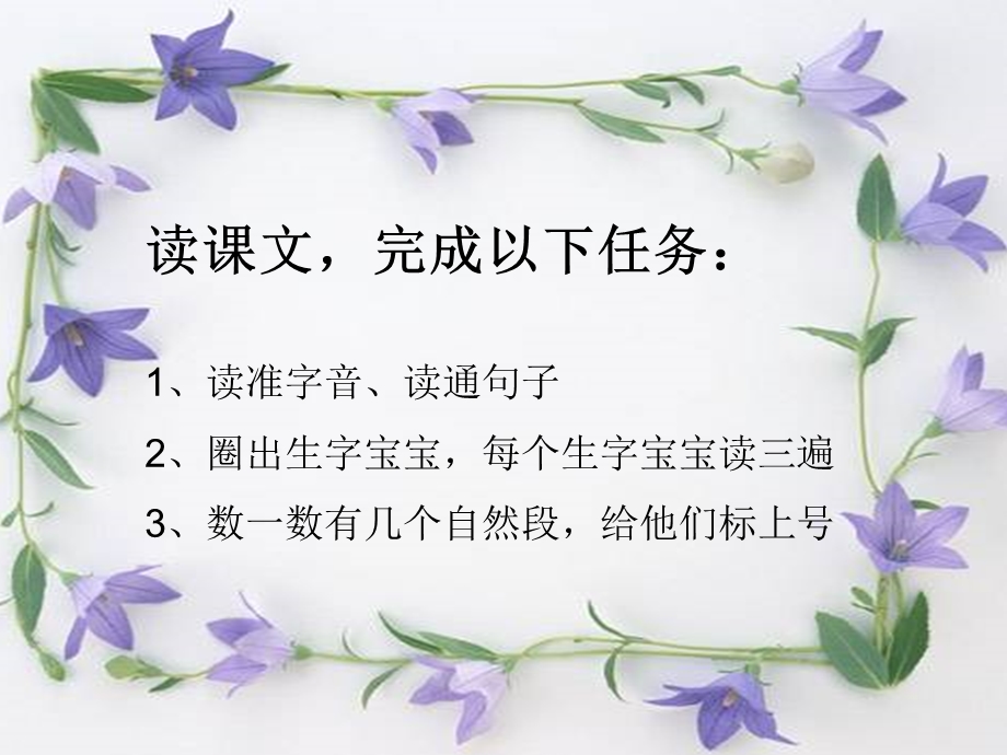 荷叶圆圆公开课ppt课件.ppt_第3页