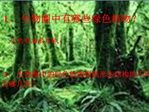 第一节绿色植物的主要类群ppt课件.ppt