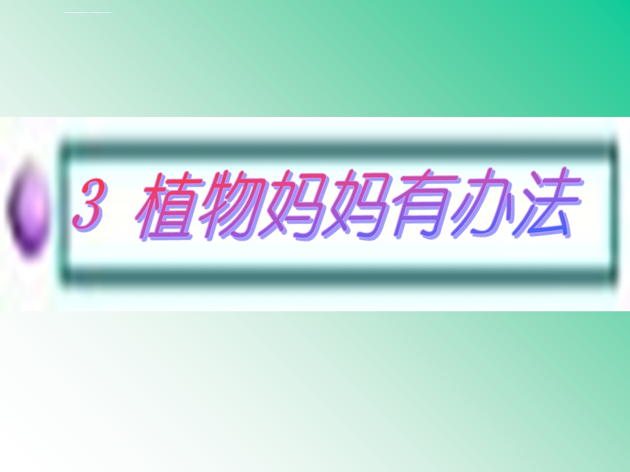 部编版二年级上册语文植物妈妈有办法完整版ppt课件.ppt_第2页