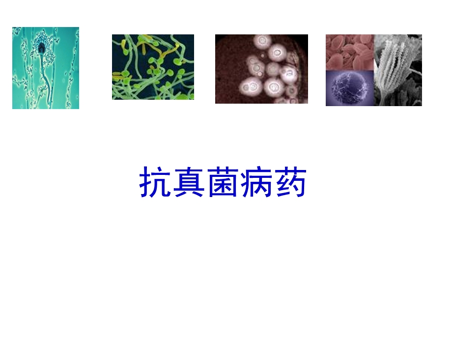 药理学PPT课件抗真菌病药.ppt_第1页