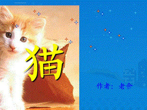 老舍《猫》ppt公开课课件.ppt