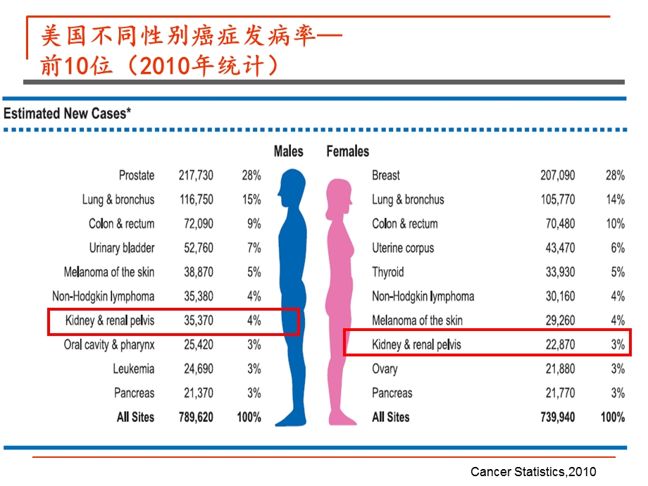 肾癌内科治疗ppt课件.ppt_第2页