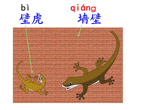 部编版一年级语文下册《小壁虎借尾巴》ppt课件.ppt