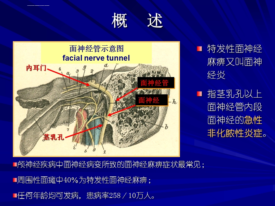 面神经麻痹六法ppt课件.ppt_第1页