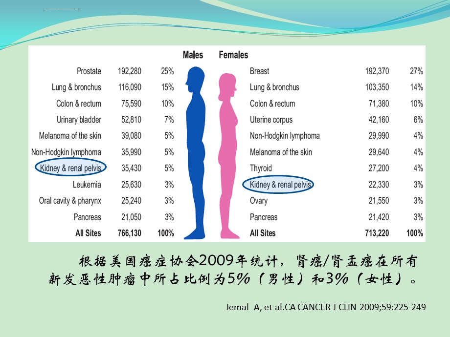 肾细胞癌：诊断、评估和鉴别ppt课件.ppt_第2页