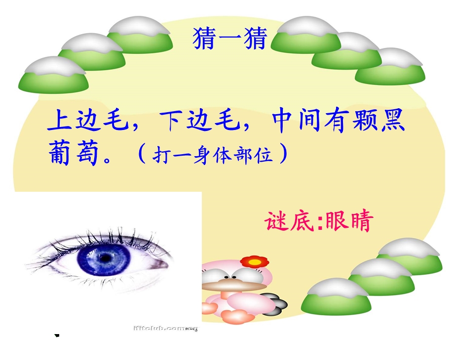 认识我们的身体ppt课件.ppt_第1页