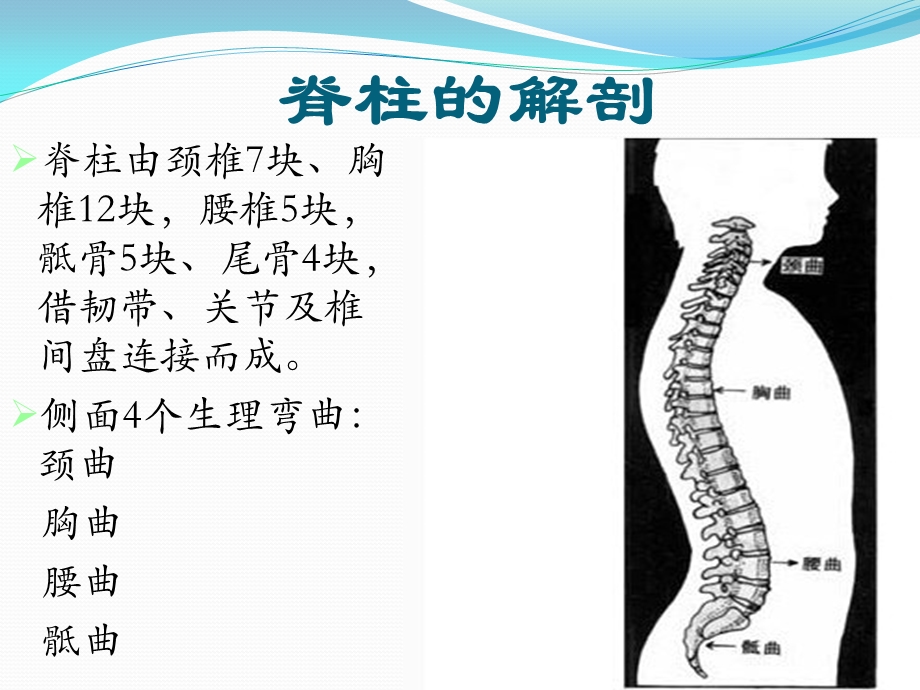 脊柱微创手术的护理ppt课件.ppt_第2页