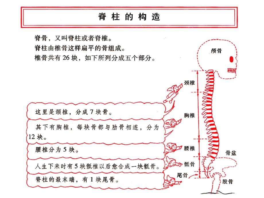 颈椎病康复保健操ppt课件.ppt_第2页