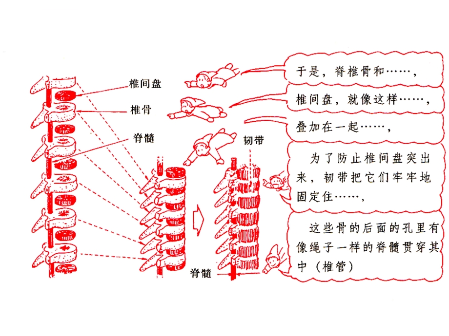 颈椎病康复保健操ppt课件.ppt_第3页