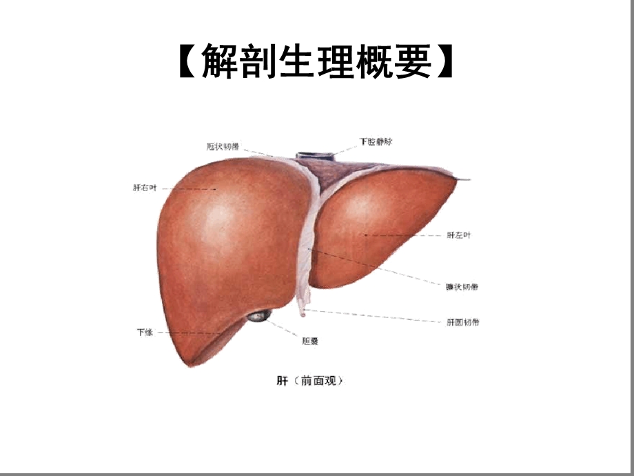 肝癌病人的护理ppt课件.ppt_第2页