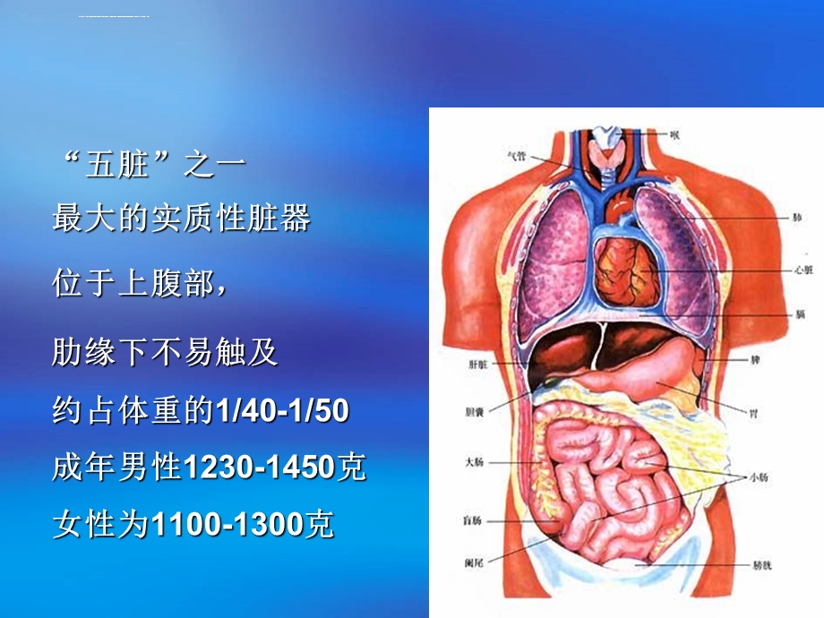 肝脏疾病与营养详解ppt课件.ppt_第3页