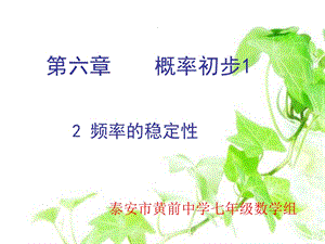 频率的稳定性ppt课件.ppt