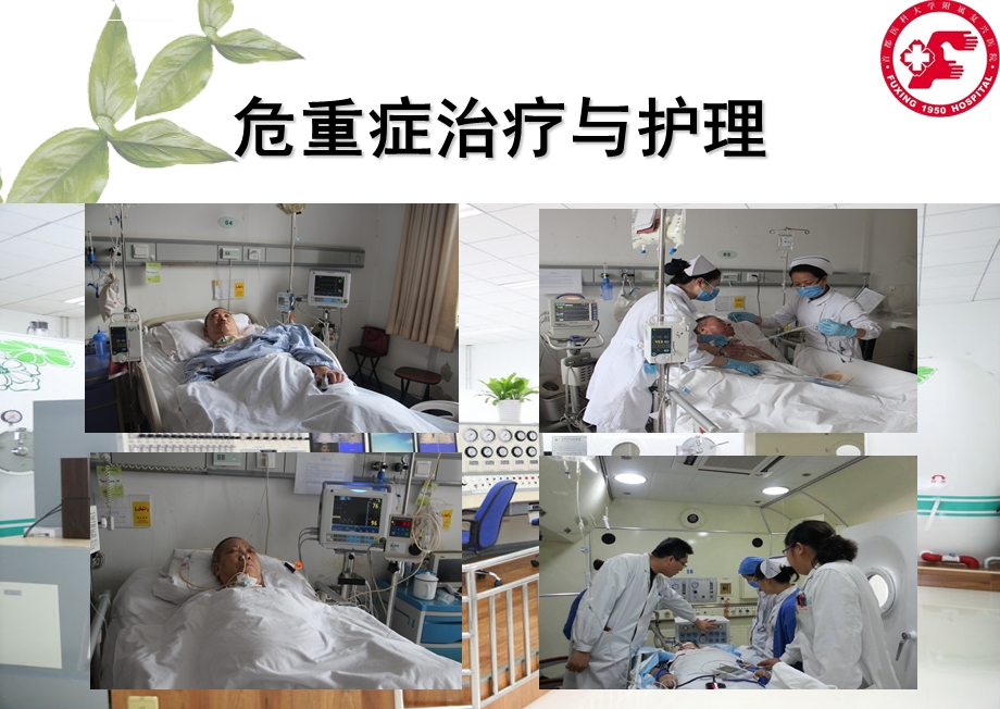 鼻肠管(置管)ppt课件.ppt_第3页